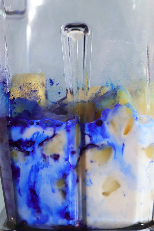 THE RESET — Detox Inteligente para Renovar Tu Cuerpo y Mente