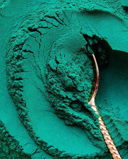 RENATIV RAW - Espirulina Viva