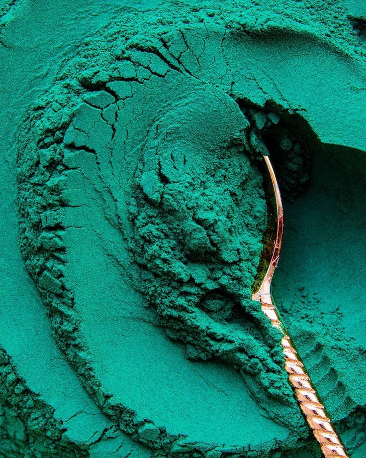 Bacterias antienvejecimiento: La VERDAD sobre la energía y la longevidad