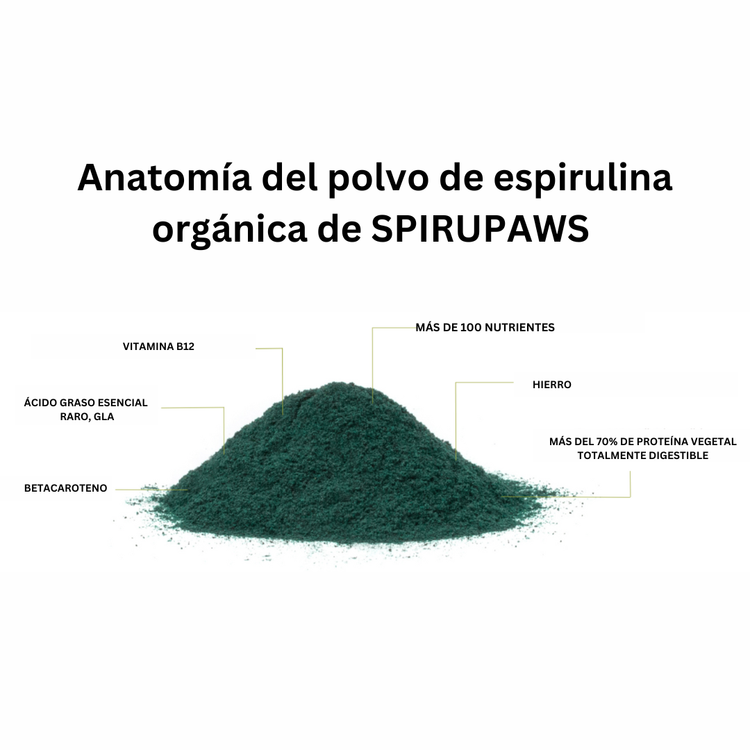 SPIRUPAWS: El Secreto para una Mascota Saludable y Feliz 🐾