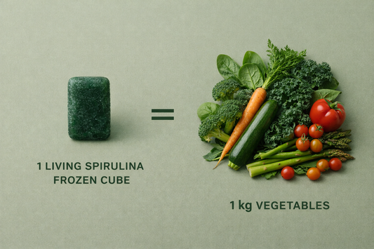 SPIRURAW- Metabolismo + Grasa Visceral + Energía